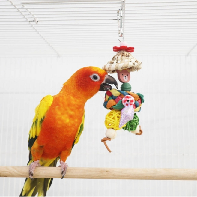 앵무새 허수아비 곰아저씨, 1개