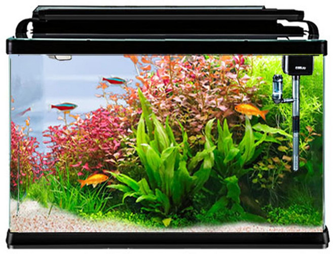 LEECOM 新 一體式 魚缸 全套 XT-300, 黑色 + 透明色, 1set