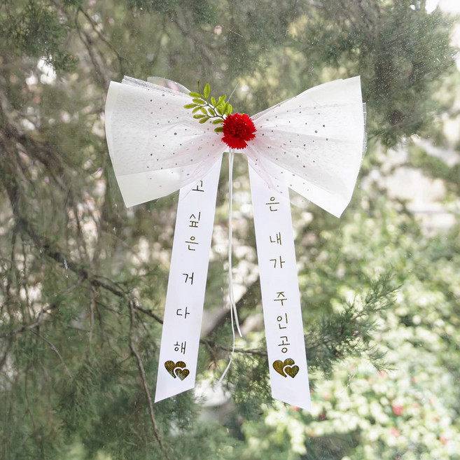 아스파시아 트윙클 리본 카네이션 인간화환 오늘은 내가 주인공 소, 화이트, 1개
