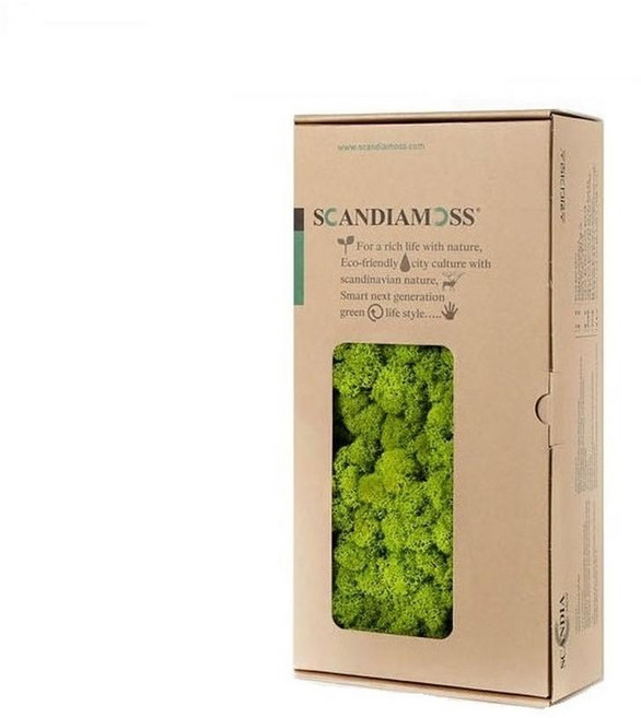 SCANDIAMOSS RM500 春綠色苔蘚 500g, 1盒