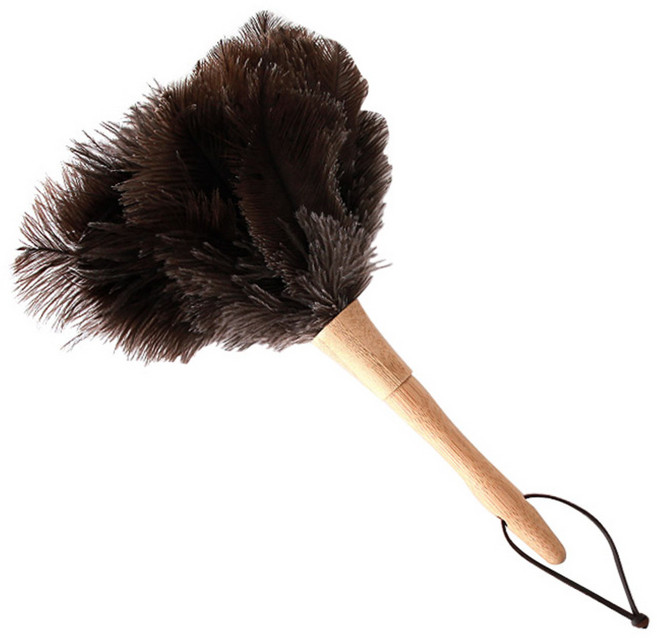 Nature Living 鴕鳥羽毛除塵撢 木柄, 木柄 深棕色, 1支