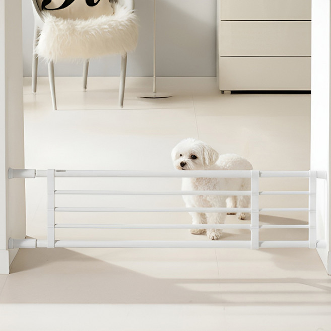 몽뜨리 강아지 압축형 울타리, 화이트, 1개