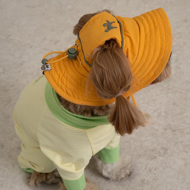 도그아이 강아지 아웃도어 캡, 1개, 머스타드