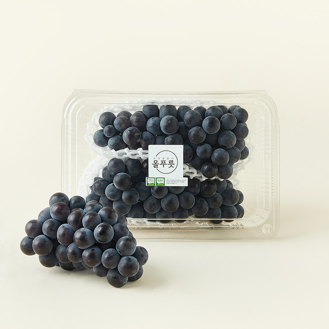올푸릇 GAP 인증 저탄소 캠벨포도, 1개, 500g