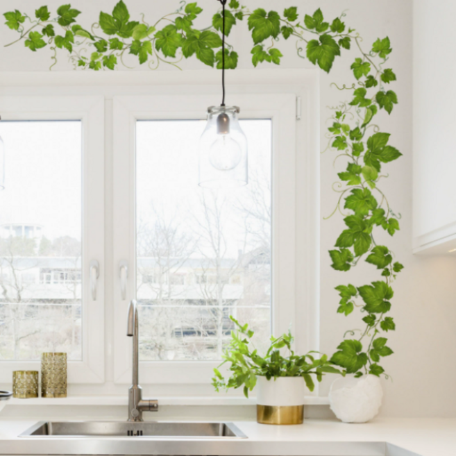 스타리움 인테리어 벽면 데코 포인트 스티커, 넝쿨