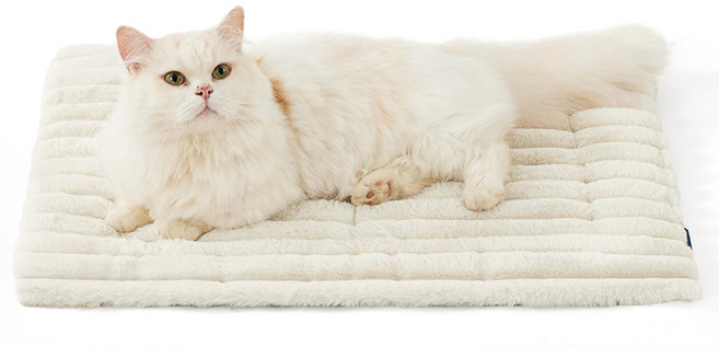 파스텔펫 반려동물 베이직 극세사 보온매트, 아이보리, 1개