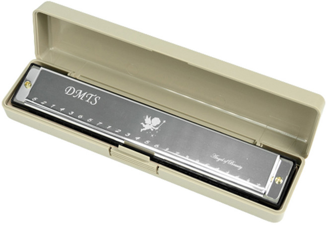 DMTS 大美天使 Onbiyu 經典專業用24孔口琴, 1組, 單品, 銀色