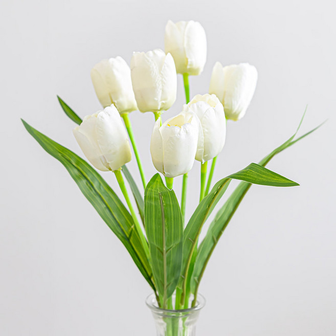 플라워트리 조화 튤립 7송이 꽃다발, 화이트, 1개