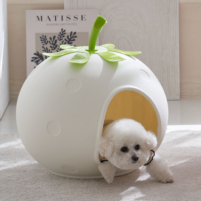 레드퍼피 강아지 글로시 하우스, 크림아이보리, 1개