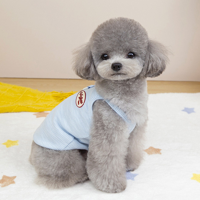 파스텔펫 반려동물 비비드 빈티지 티셔츠, 블루, 1개