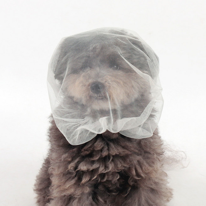 딩동펫 반려동물 메쉬 페이스 버그가드 얼굴망사, 투명, 1개