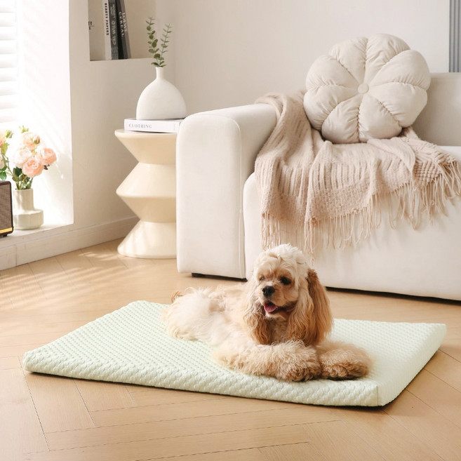 파스텔펫 반려동물 허니콤 엠보 쿨쿠션, 그린, 1개