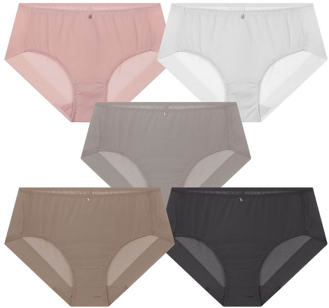 FLORIN 無痕日常內褲5件組 CWP-007, 淺灰色, 粉紅色, 灰色, 棕色, 炭灰色