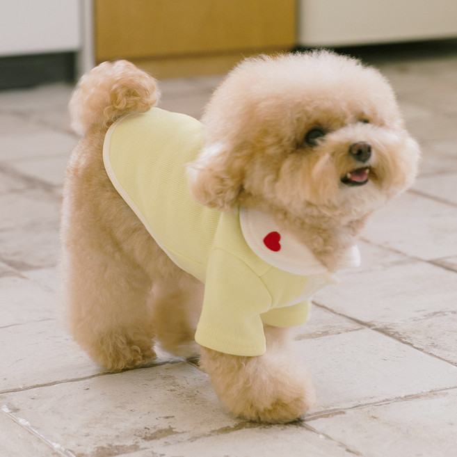 펫츠랜드 강아지 하트퐁 가디건, 옐로우, 1개
