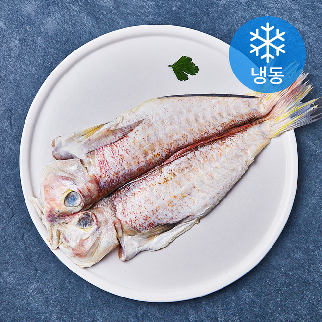 본디드림 제주용암해수 참옥돔 (냉동), 1개, 260g