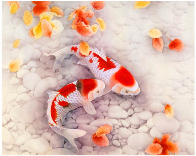 케이엠엘리 DIY 캔버스 액자 일체형 3D 비단 잉어 사각 보석십자수 50 x 40 cm, 혼합색상, 1세트