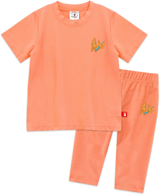 Little rabbit 兒童夏季短袖網眼恐龍套裝