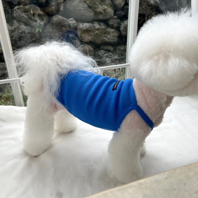 매그독 강아지 비비드 민소매 티셔츠, 블루, 1개