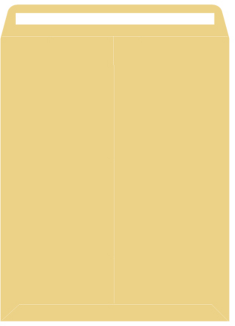 봉투를만드는사람들 접착형 양면 각대봉투 5절, A4, 100개