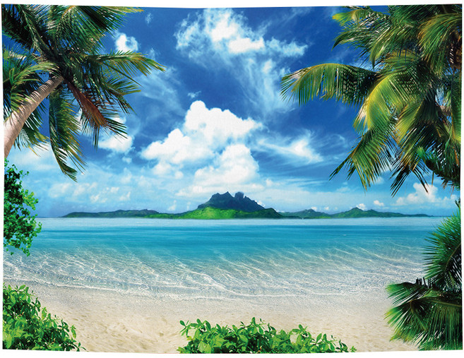 라온투유 상큼한 창문풍경 대형 태피스트리, 5226