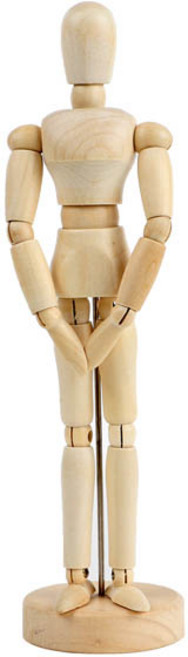 동아피엠에스 인체 목각 관절인형, 1개