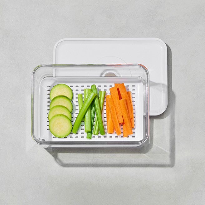 로이첸 아이바큠 제올 트레이 특대 D형, 1개, 단품