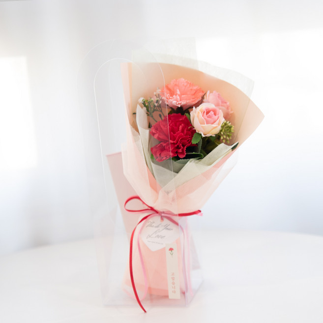 ASPASIA 香皂花 Luria 康乃馨迷你花束 + PP手提袋 + 零用錢信封組, 紅色(花束), 1套