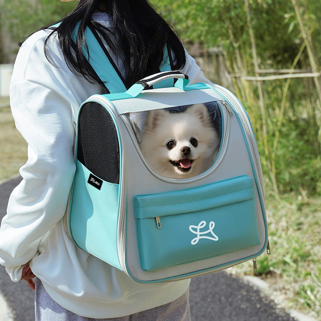 레토 반려동물 이동가방 LDD-B05, 민트, 1개
