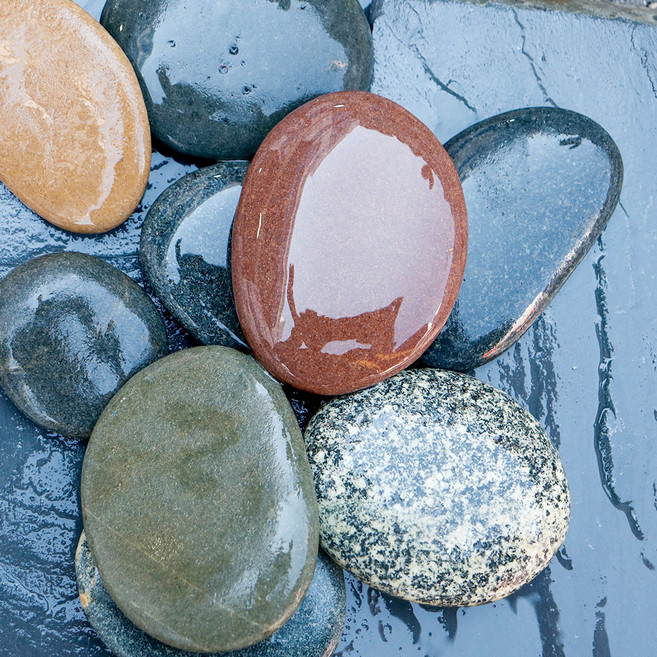 미미네아쿠아 어항꾸미기 납작돌 중, 랜덤 발송, 20개