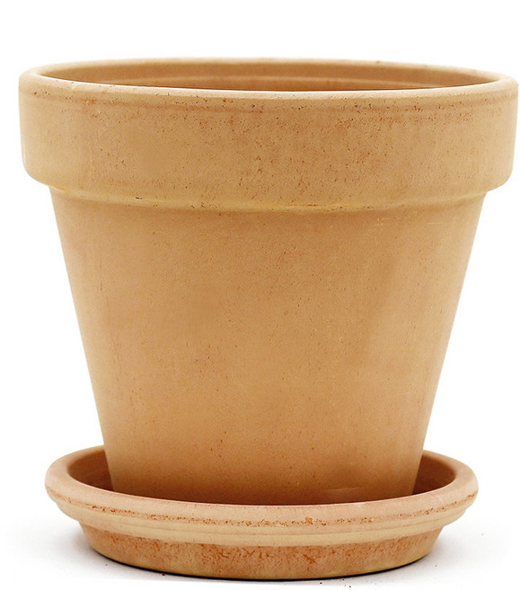 도시정원 이태리 토분 바소 + 받침 세트, 아레나, 1개