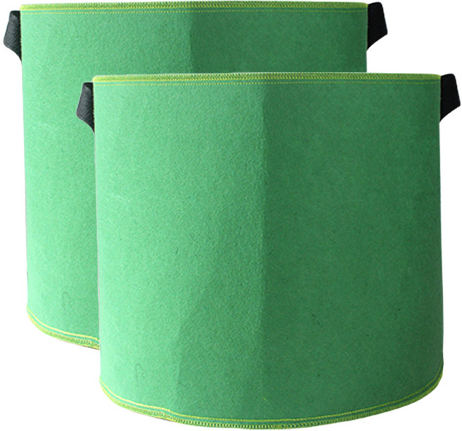 오늘의공감 부직포 농작물 블루베리 화분 2p, 그린, 2개