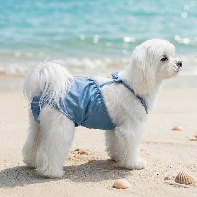 웨이비데이즈 반려동물 휴양지 리본 원피스 수영복 W265-0162BUS, 블루, 1개