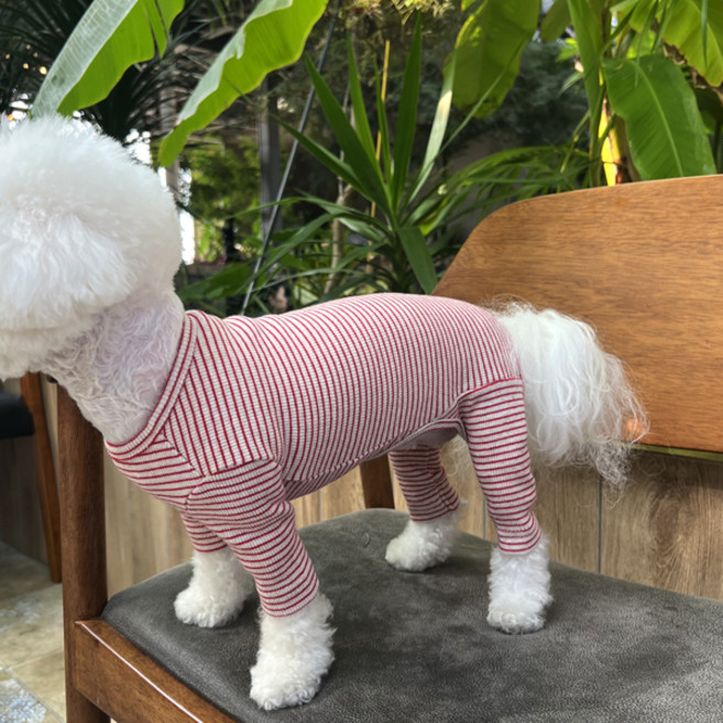 매그독 반려동물 윌리 스트라이프 올인원, 레드, 1개