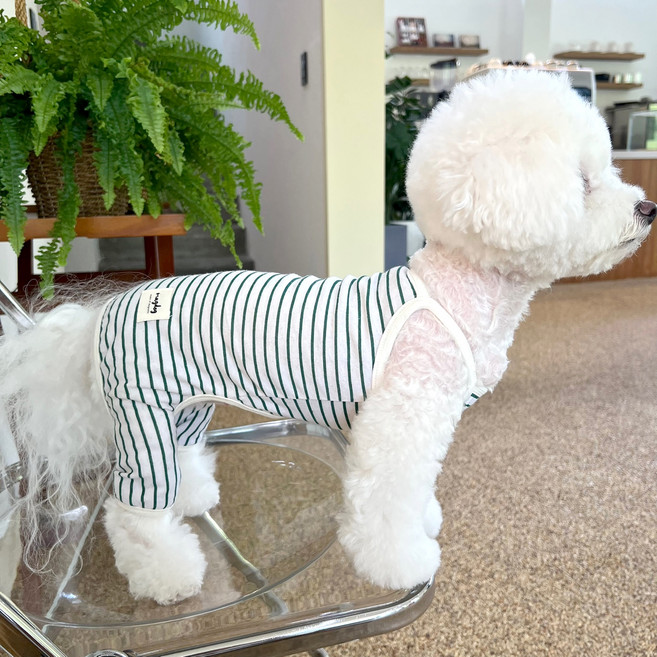 매그독 강아지 노트 린넨 올인원, green, 1개