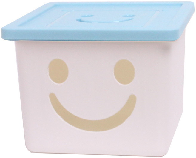 보노하우스 미니해피박스, 블루, 200 x 200 x 140 mm, 1개