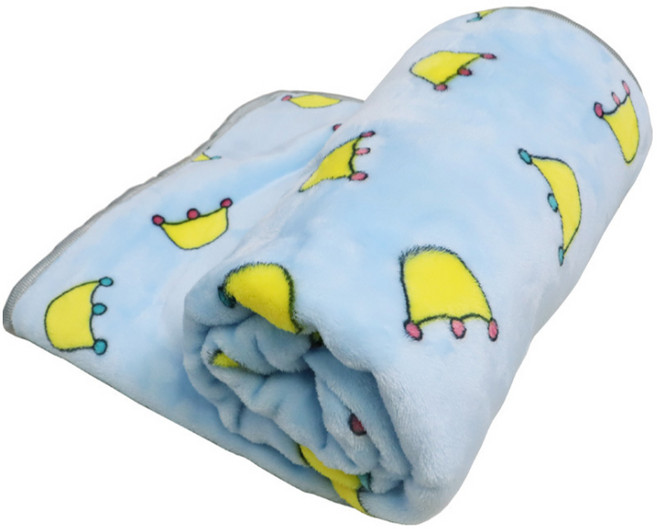 펫컬러패턴 담요