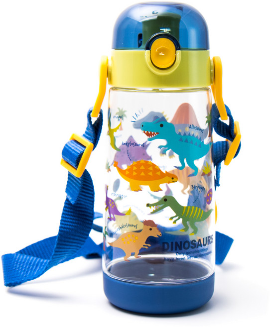 스케이터 PDDR5 논슬립 다이렉트 보틀, 다이노사우루스, 480ml, 1개