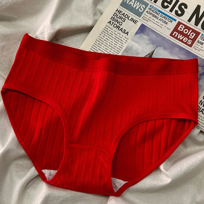 피어니스트 여성용 스트라이프 브리프 팬티 4p 세트