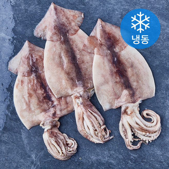 손질 김씨밥 오징어 대 (냉동), 1개, 650g