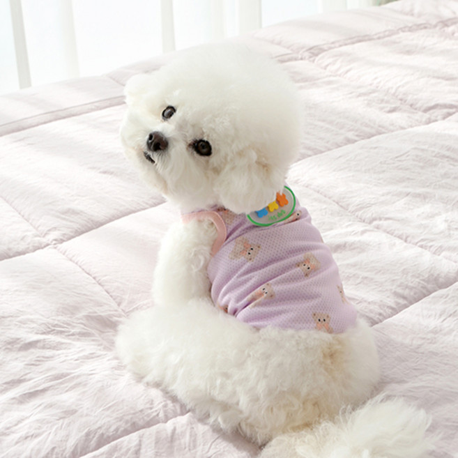 이츠독 강아지 젤리베어 쿨 나시티, 바이올렛, 1개