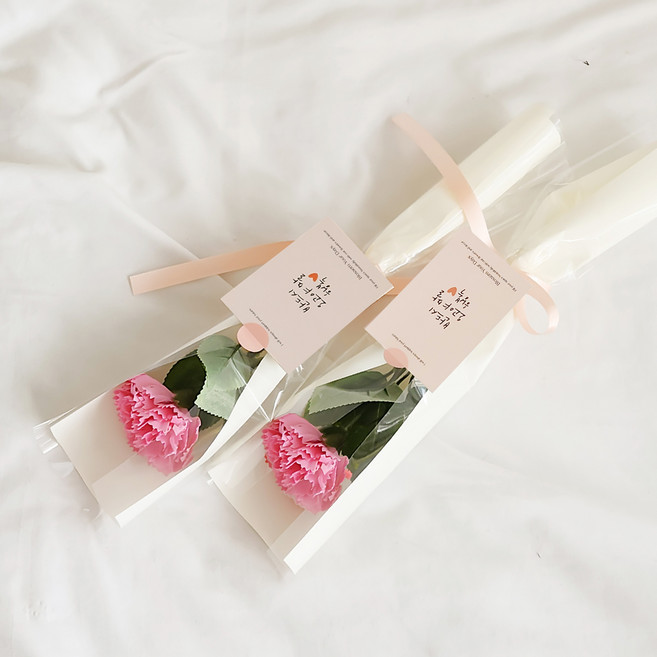 아스파시아 메시지 2p + 조화 플르 카네이션 한송이 비누 꽃다발 2p 세트 반드시 오고야 말 행복, 핑크, 2개