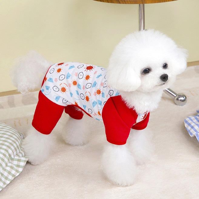 파스텔펫 반려동물 써니 메쉬 올인원, 레드, 1개