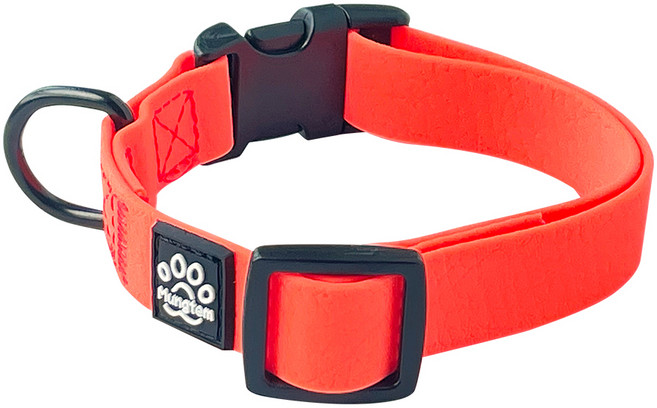 멍템 반려동물 방수 목줄, 네온 오렌지, 1개