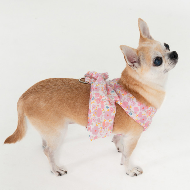 핑카홀릭 반려동물 레아 하네스 HB7864, 핑크, 1개