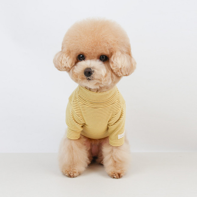 그루밍독 강아지 고양이 데일리룩 줄무늬 목폴라 티셔츠, 옐로우, 1개