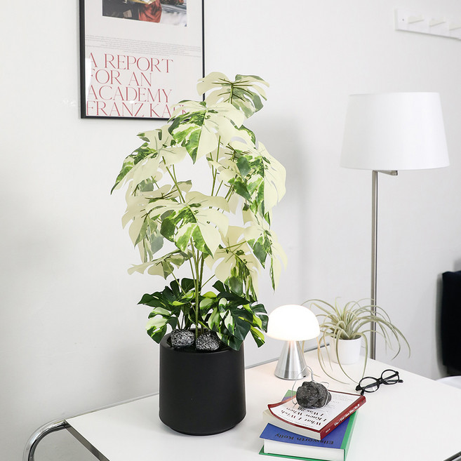 조아트 인테리어 조화나무 몬스테라 알보 + 모형돌 2p + 화분 세트, 혼합색상(조화), 랜덤발송(화분, 모형돌), 1세트