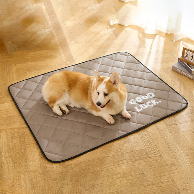 요런개 반려동물 방수 심플한 매트, 1개, 02. 브라운