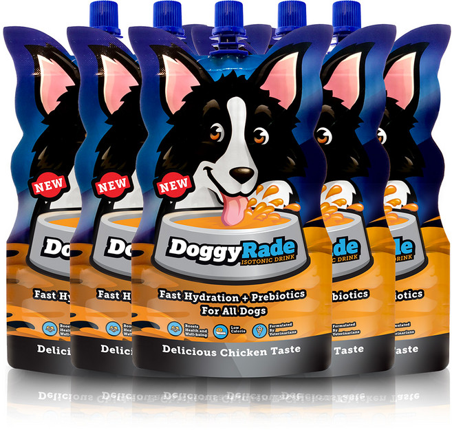 도기레이드 강아지 액상 영양제, 장건강/유산균, 250ml, 5개