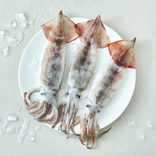 산지직송 일품 햇 선별 생물오징어 중 (냉장), 1개, 450g(3마리)