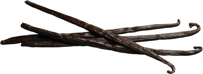 매드바닐라 인도네시아 플레니폴리아 바닐라빈, 25g, 1개